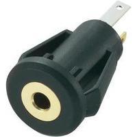 2.5 mm audio jack Socket, vertical vertical Number of pins: 3 Stereo Black Conrad Components 1 pc(s)