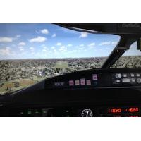 29 instead of 75 for a one hour flight simulation experience from fly  ...