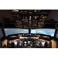 29 instead of 59 for a 30 minute boeing 737 flight simulator experienc ...