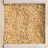 2kg Millet