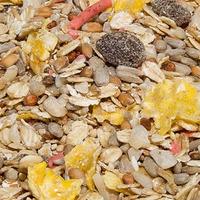 2kg Ultiva Fruity Suet Mix