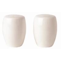 2X Royal Porcelain Ascot Salt Shakers 70mm Bone China White Cruet Pot Kitchen