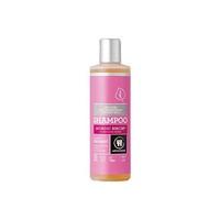 3 Pack x Nordic Birch Shampoo Dry (245ml) - Urtekram