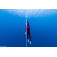 3-Day Advanced Freediving Course in Cebu