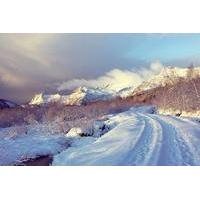 3 hour nature winter hike in lofoten