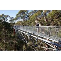 3 day south west tour from perth including margaret river busselton an ...