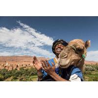 3-Day Private Morocco Desert Tour from Marrakech to Erg Chegaga Dunes