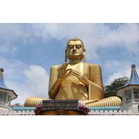 3-Day Sri Lanka Cultural Tour: Sigiriya, Polonnaruwa and Dambulla including Jeep Safari at Minneriya National Park
