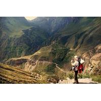 3 day hike to colca canyon from arequipa
