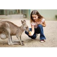 3-Day Blue Mountains and Hunter Valley Small-Group Eco-Tour