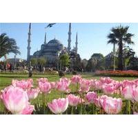 3-Hour Istanbul Express Walking Tour