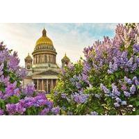 3 Hour Saint-Petersburg Walking Tour with English Speaking Guide