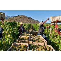 3 Regions Wine Tour from Cape Town