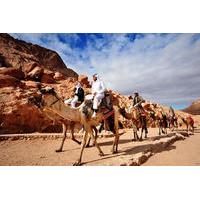3-Day 2-Night Camel Safari to Wadi Rum from Dahab