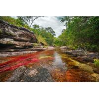 3-Day Tour to Caño Cristales from Bogotá
