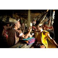 3 day small group sarawak tour from kuching longhouse experience in ba ...