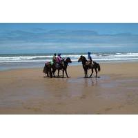 3 hours horse riding at Essaouira