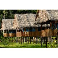 3 day wildlife observation tour at tamshiyacu reserve with curassow am ...