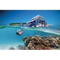 3 day southern great barrier reef tour including lady musgrave island