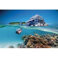 3-Day Southern Great Barrier Reef Tour Including Lady Musgrave Island