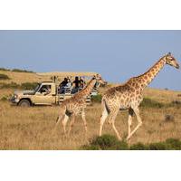 3 day garden route tour from cape town with game drive