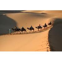 3-Day Private Desert Tour from Marrakech to Fez: Ouarzazate, Sahara Desert Camel Trek and Berber Village Visit