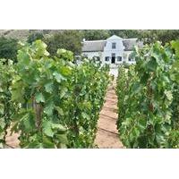 3 Wine Regions Private Guided Tour in Cape Town