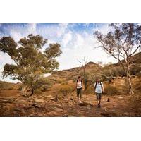3 day small group eco tour from adelaide flinders ranges