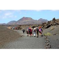 3 volcanoes guided walking tour from lanzarote