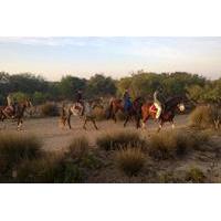 3 Hours Horse Riding with Diner and Overnight From Essaouira