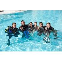 3-Day Open Water Certification Course on the Gold Coast