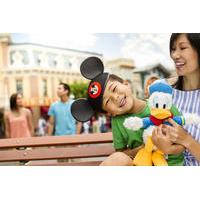 3-Day Disneyland Resort Ticket