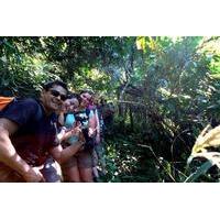 3-Hour Jungle Trekking in Ngapali