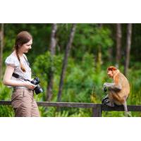 3 day tour from sabah sandakan sightseeing and wildlife experience in  ...