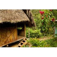 3-Day Iquitos Amazon Jungle Adventure at Ceiba Tops Luxury Lodge