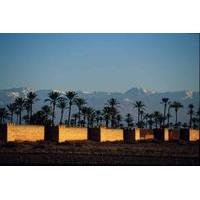 3 night marrakech city break including old town guided tour and morocc ...