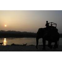 3 Day Chitwan Jungle Safari Wildlife Adventure Tour