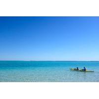 3-Day Ningaloo Reef Kayaking, Snorkeling and Camping Tour from Exmouth