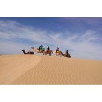 3-hour Dromedary Ride in Essaouira