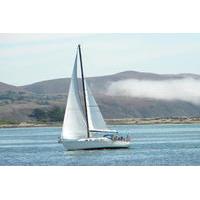 3 Hour Sailing on Bodega Bay