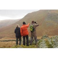 3-Hour Deer Watch Walk from Ullswater