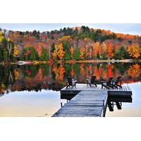 3 day beaver tour in algonquin park