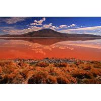 3 day salar de uyuni and laguna de colores from uyuni