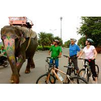 3 hour morning bike tour of jaipur