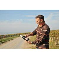 3 hour small group champagne region vineyard tour from reims with wine ...