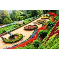 3-Night Ooty Private Luxurious Tour from Coimbatore