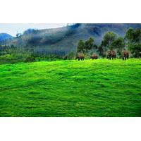 3 day munnar private tour from madurai