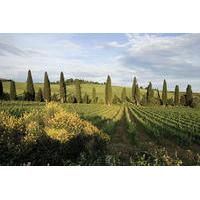 3-Day Tuscany and Cinque Terre Experience with Limoncino Tasting