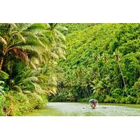 3-Day Amazon Jungle Tour at Sinchicuy Lodge