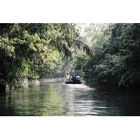 3 Day Tortuguero National Park Experience From San José